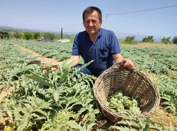 Vücudu baştan aşağı yeniliyor: Karaciğeri pırıl pırıl yapıyor - Resim: 1