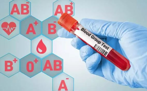 Lider mi, özgür ruh mu? Kan grubun karakterini açıklıyor - Resim: 2