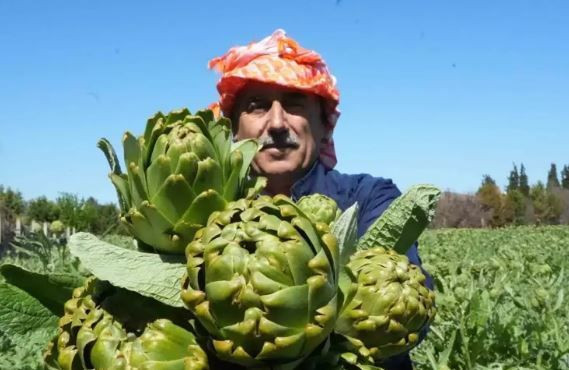 Vücudu baştan aşağı yeniliyor: Karaciğeri pırıl pırıl yapıyor - Resim: 2