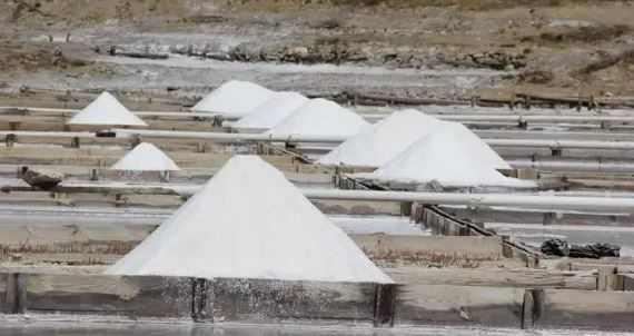 Rutubet ve kötü kokuya karşı doğal çözüm: Bir tutam serpenler sonuca inanamıyor - Resim: 6