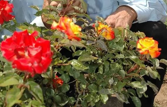 5 Mayıs gecesi yapılan bu ritüeller hayatınızı değiştirebilir - Resim: 8