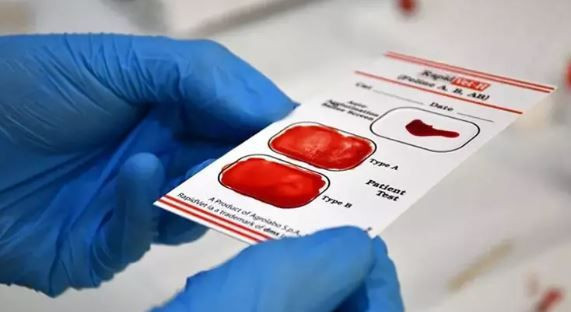 Lider mi, özgür ruh mu? Kan grubun karakterini açıklıyor - Resim: 5