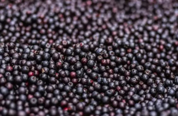 Bağışıklığı güçlendiren mor mucize: Faydaları saymakla bitmiyor - Resim: 8