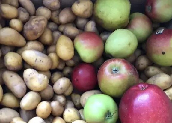 Patatesin bozulmasını engelleyen mucize yöntem: Sadece 1 tane koyun - Resim: 6