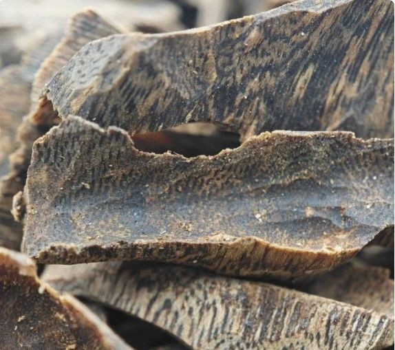 Altından kat kat değerli: Gramı 10 bin dolar, başında nöbet tutuluyor - Resim: 15