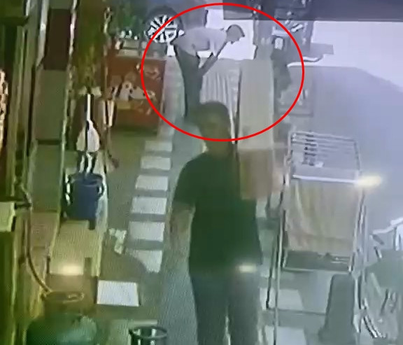 Sinsice yaklaştı, kafesi boşalttı: Papağanı sevip çaldılar - Resim : 1