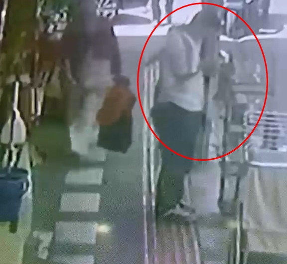 Sinsice yaklaştı, kafesi boşalttı: Papağanı sevip çaldılar - Resim : 5