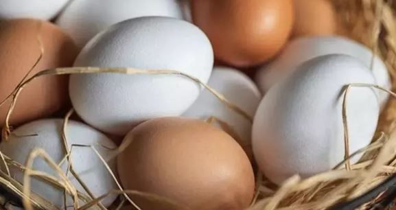 Meğer her gün çöpe atıyormuşuz: Kolajenin en güçlü kaynağı ortaya çıktı - Resim: 4