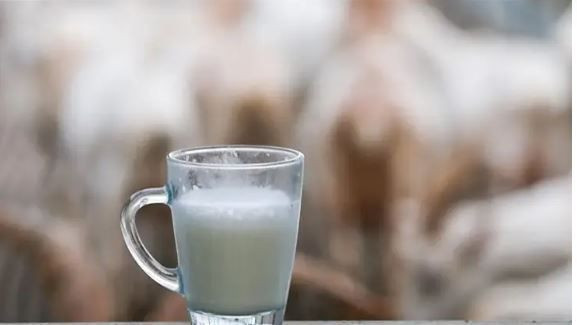 Düşük tansiyona karşı doğal destek: Ayranın içine bir kaşık eklemek yeterli - Resim: 3