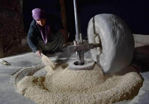 Yüzyıllık değirmende öğütülüyor: Şeker hastaları kapış kapış alıyor : Türkiye’nin yeni gözdesi - Resim: 7