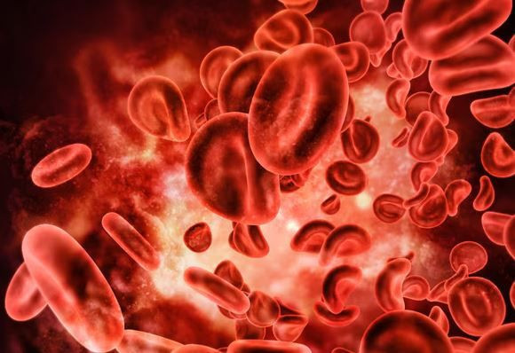 En güçlü bağışıklık hangi kan grubunda? Gerçekler şaşırtıyor - Resim: 3