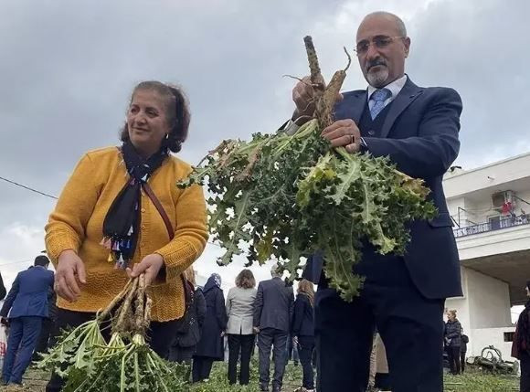 Ege’nin şifa deposu: Yılda sadece 3 ay çıkıyor… Pazarda yok satıyor - Resim: 6