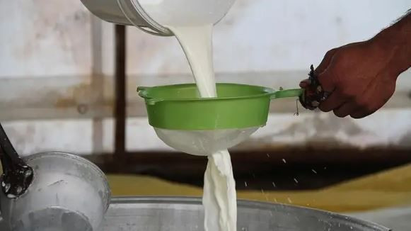 Düşük tansiyona karşı doğal destek: Ayranın içine bir kaşık eklemek yeterli - Resim: 4