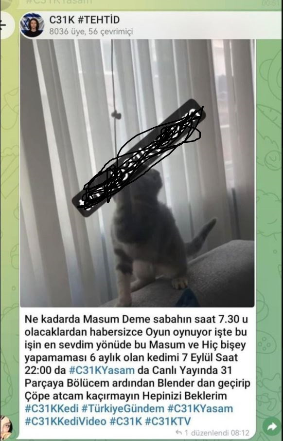Telegram grubundan yeni tehditler: 'Yarın çok geç olabilir' - Resim : 2