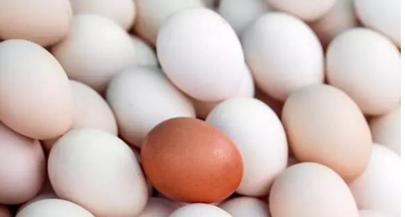 Meğer her gün çöpe atıyormuşuz: Kolajenin en güçlü kaynağı ortaya çıktı - Resim: 6