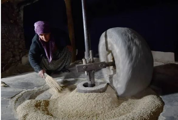 Yüzyıllık değirmende öğütülüyor: Şeker hastaları kapış kapış alıyor : Türkiye’nin yeni gözdesi - Resim: 4