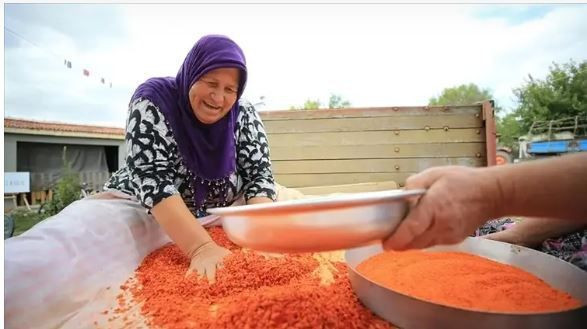 Bağırsak sağlığının gizli kahramanı: Hem lezzetli hem besleyici - Resim: 4