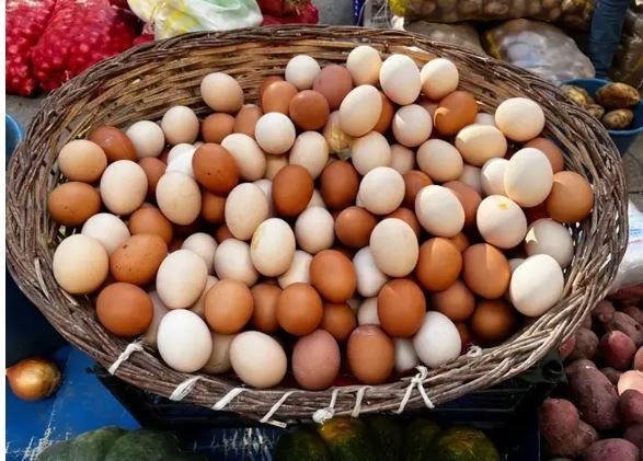 Bir bardak su yeterli: Yumurtanın taze mi bayat mı olduğu anında belli oluyor - Resim: 6