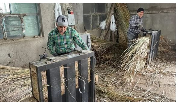 Eskiden her evde vardı, şimdi kimse yüzüne bakmıyor: Yok olup gidiyor - Resim: 5