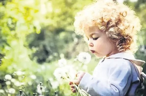 Bahar keyfi kabusa dönmesin: Masum polenler tehlikeye dönüşebilir - Resim: 3