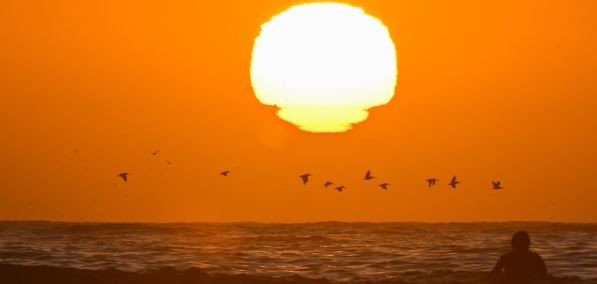 Denizlerde "kırmızı alarm": Türkiye için felaket senaryosu - Resim: 4