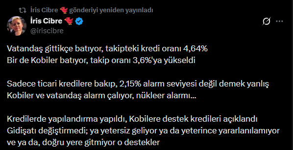 Ünlü ekonomist verileri paylaştı: KOBİ'ler ve vatandaş alarm çalıyor - Resim : 3