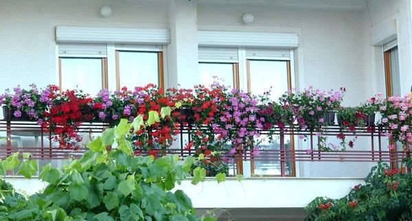 Yargıtay'ın 'cam balkon' kararı yeniden gündemde: Yıkıma bile neden olabilir - Resim: 4