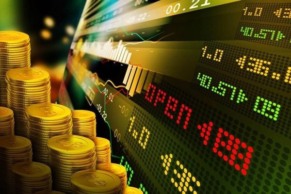 Servet avcılarına kritik uyarı: En büyük kayıplar böyle yaşandı - Resim: 1