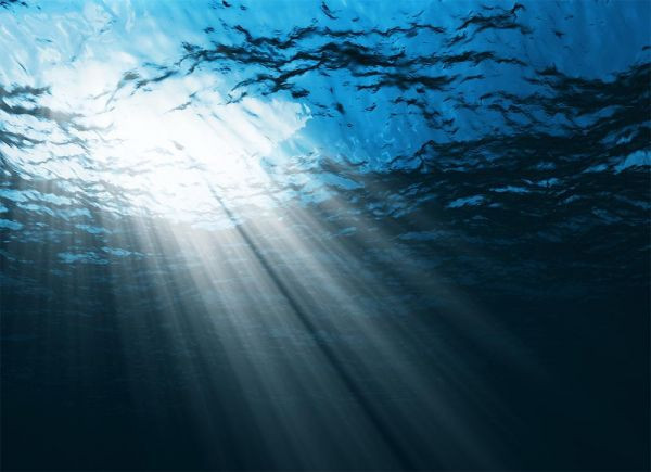 Okyanusun derinliklerinde ezber bozan keşif - Resim: 6