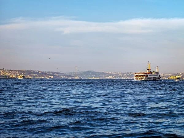 İstanbul’un sular altında kalacağı tarihi verdiler: Deniz 2 kilometre içeri girecek - Resim: 5