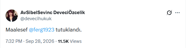 Gazeteci Fatih Ergin tutuklandı - Resim : 2
