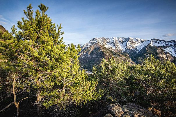 Aylardır kayıp dağcıyı yapay zeka buldu - Resim: 2