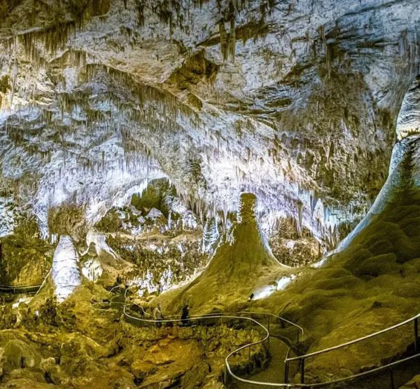 Zifiri karanlıkta fotosentez: Mağaralardan uzaya uzanan keşif - Resim : 4