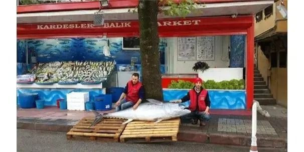 Kilosu 350 TL'den peynir ekmek gibi satıldı: 160 kiloluk ürün şaşırttı - Resim: 6