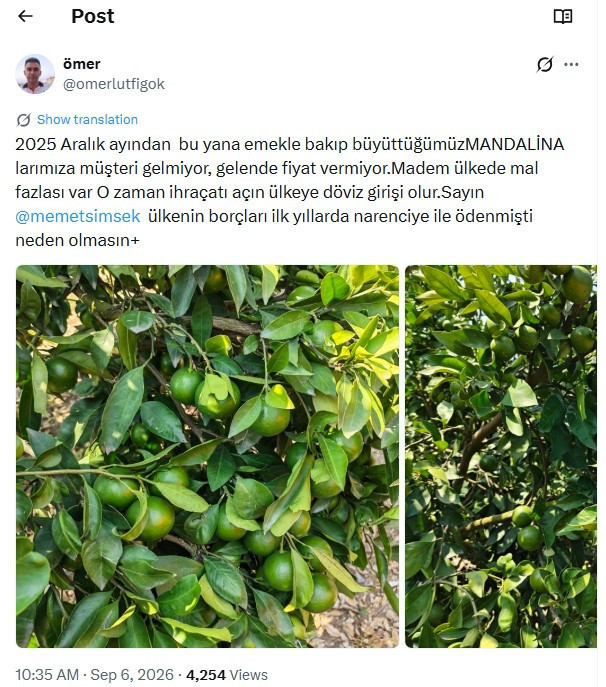İhracat rekoru var, alıcı yok: Üretici isyanda - Resim : 3