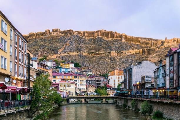 Türkiye’nin en sağlıklı illeri belli oldu: Sonuçları görenler şaşırıyor - Resim: 11