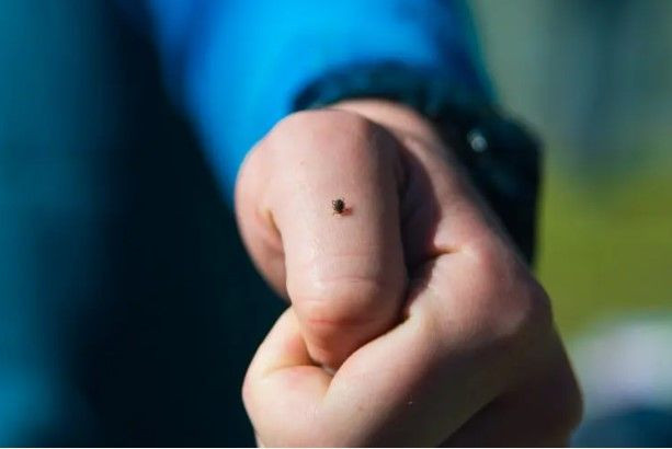 Bir kenti korkutan olay: 5 kişi aynı nedenden hayatını kaybetti - Resim: 7