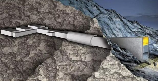 İnsanlığın geleceğini kurtaracak depo: Kuzey Kutbu'nun donmuş hazinesi - Resim: 2