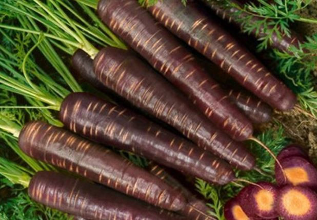 Soğuk hava şalgamı uçurdu: Bağışıklık için gizli silah - Resim: 5