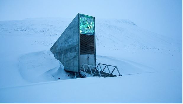 İnsanlığın geleceğini kurtaracak depo: Kuzey Kutbu'nun donmuş hazinesi - Resim: 4