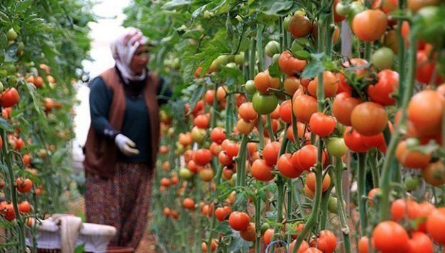 Kiralayarak başladı: Şu anda 300 kadına istihdam sağlıyor - Resim: 7