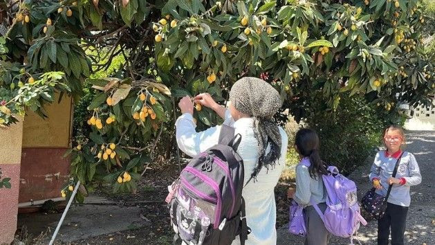 Poşeti alan bahçeye koştu: Köylünün geçim kaynağıydı, artık para etmiyor; hepsini bedava dağıttı - Resim: 6