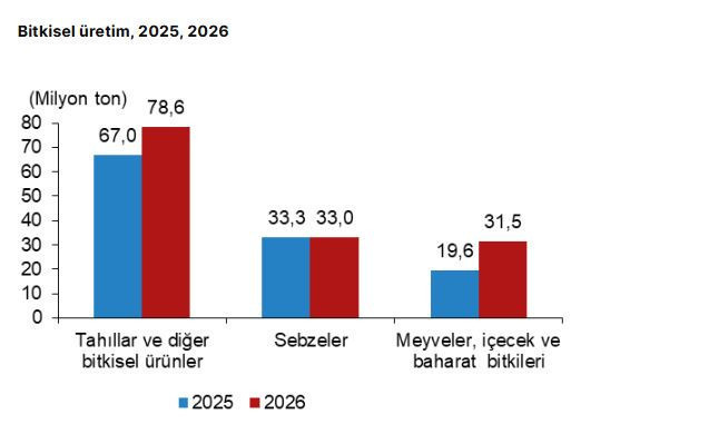 TÜİK 2026 tarım raporunu açıkladı: Meyve arttı, sebze düştü - Resim : 1