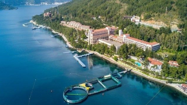 Koç Holding’in iştiraki Almanlardan ayrıldı: Sürpriz yeni ortak - Resim: 2