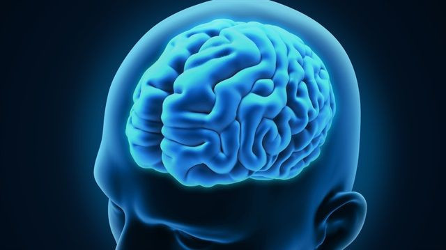 İnsan beyni geleceği görebiliyor: Hafıza merkezi ile ilgili yeni keşif - Resim: 5