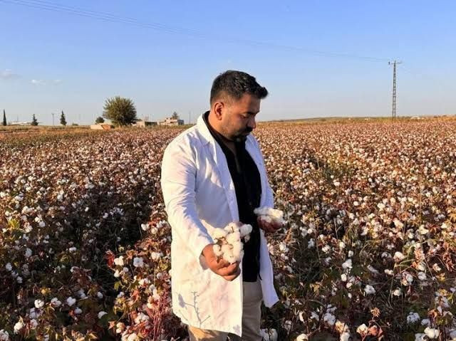 Aylık 250 bin lira kazandırıyor: Beyaz elmasın dev hasadı başladı - Resim: 6