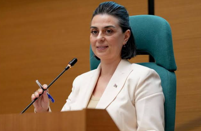 Sinem Dedetaş'tan çarpıcı iddia: Tutuklanmadan önce bana teklif yapıldı - Resim : 2
