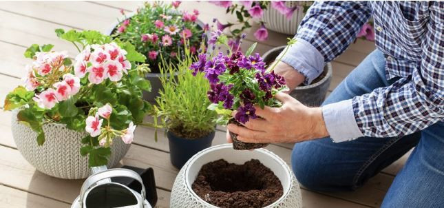 Çöpe deyip atıyorduk: Tuvalet kağıdı rulolarının bahçedeki gizli gücü şaşırttı - Resim: 5