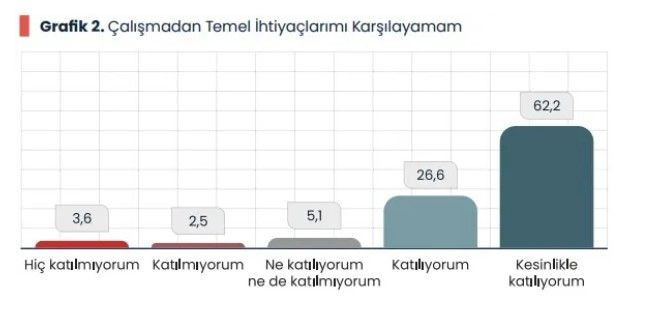 Emekli anketi Forum Enstitüsü’nden: Yüzde 89,4 gündem oldu - Resim: 9