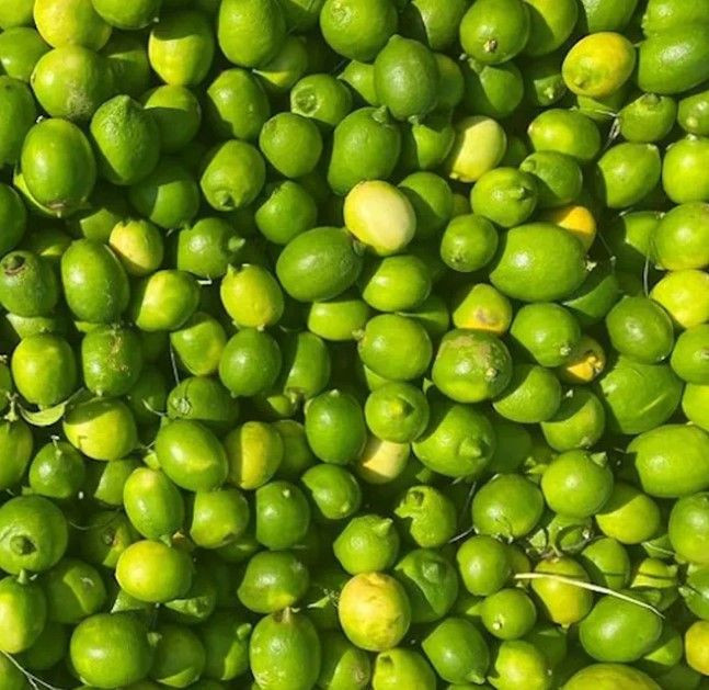 Türkiye'deki market limonlarında birden fazla pestisit çıktı - Resim: 8